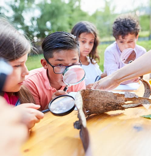Understanding Sustainability Education