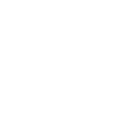 Specialized Schools